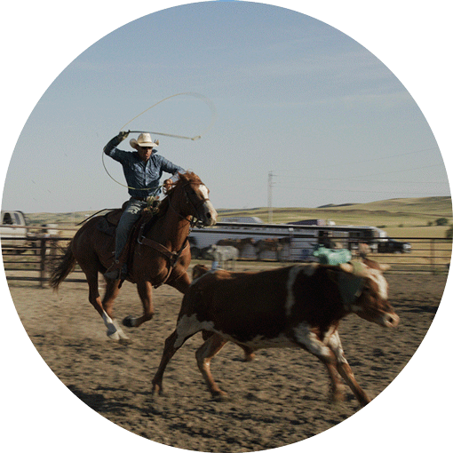A cowboy riding a horse in a rodeo arena while roping a steer