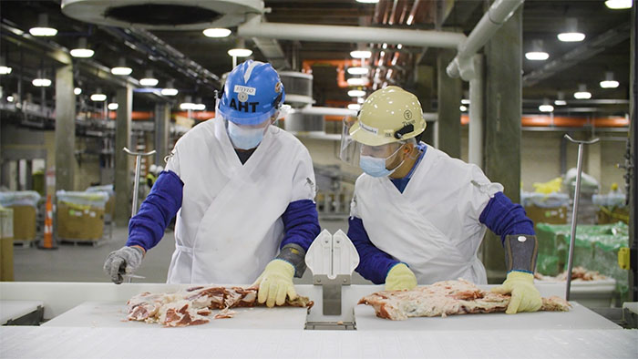 Meat scientists evaluating meat products in a production plant 