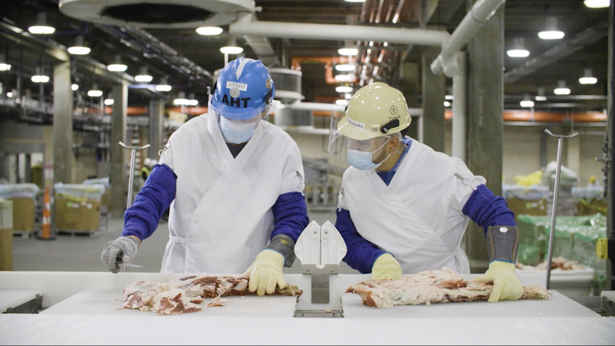 Meat scientists evaluating meat products in a production plant 